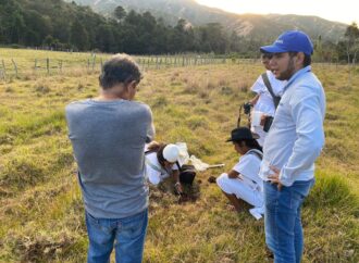 AGROSAVIA fortalece la producción sostenible y la cultura Arhuaca en Nabusímake