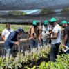 El Cesar se consolida como referente internacional de innovación agropecuaria
