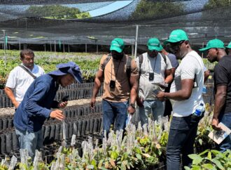 El Cesar se consolida como referente internacional de innovación agropecuaria